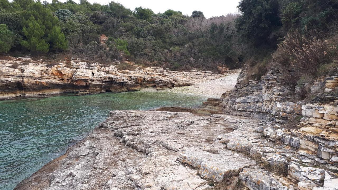 Villa Lena. Premantura Esterno foto